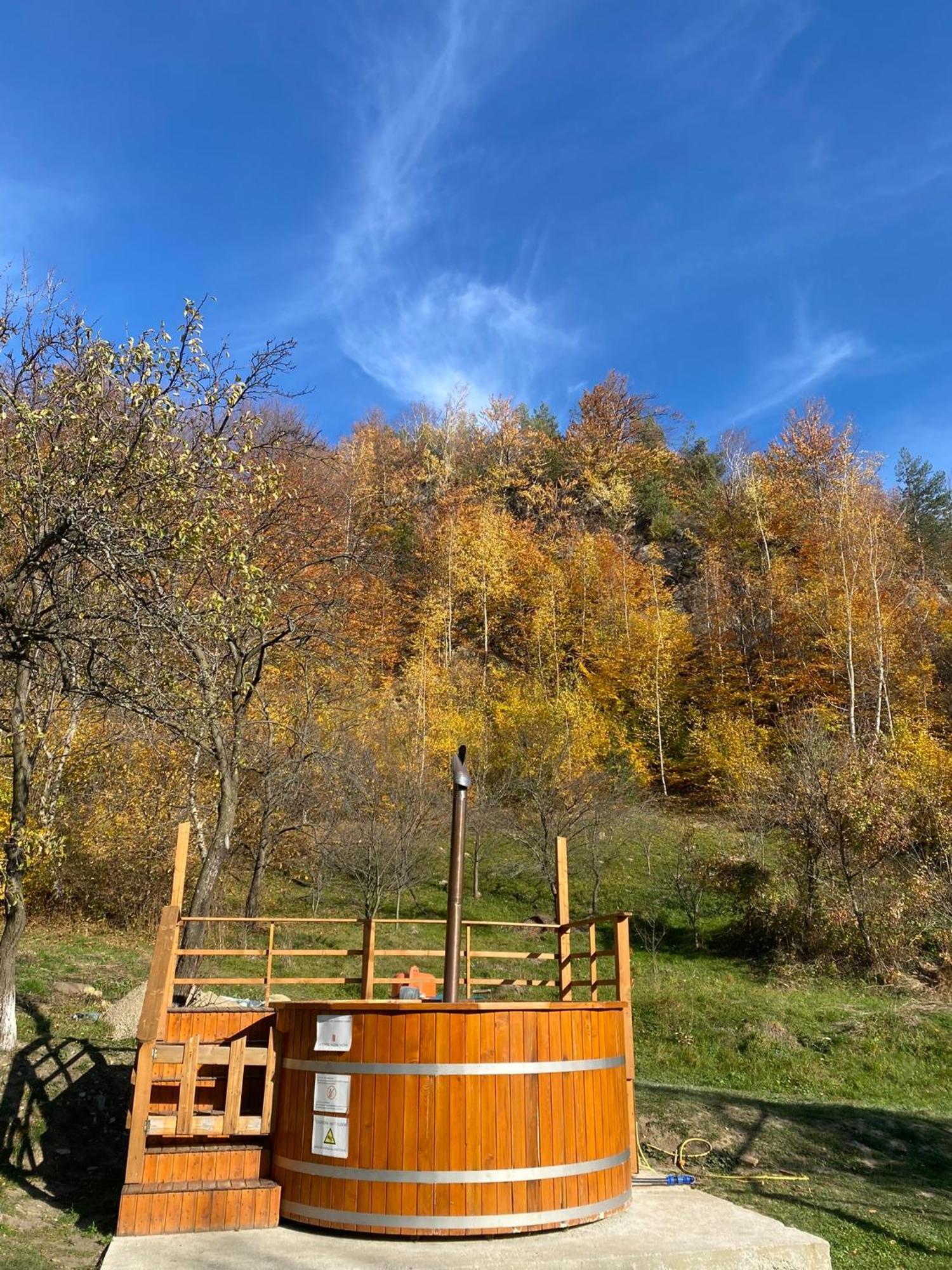 Alunis Glamping * Alunis (Buzau)